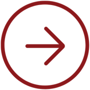 Next Steps Icon